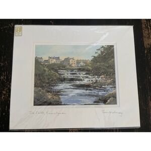 Tim Moloney The Falls Ennistymon Irish Watercolor Art Print Matted 10x12